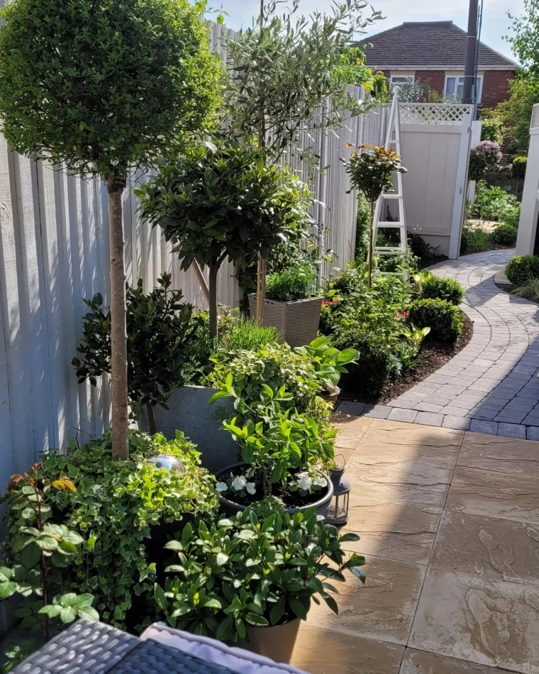 amenagement petit jardin plantes en pot arbustes arbre haut etroit