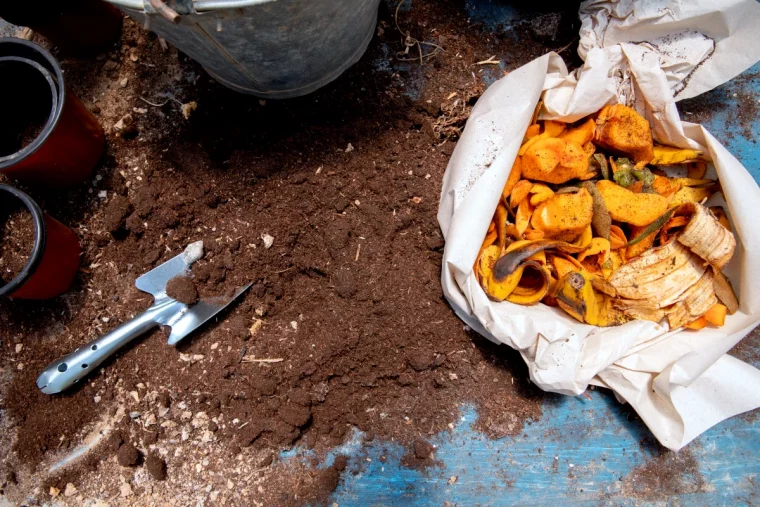 comment eviter les vers blancs dans le compost