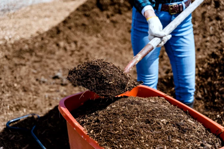 comment tuer les vers blancs dans le compost