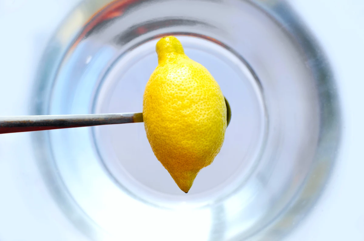 comment utiliser l eau citronee pour orchidee citron jaune