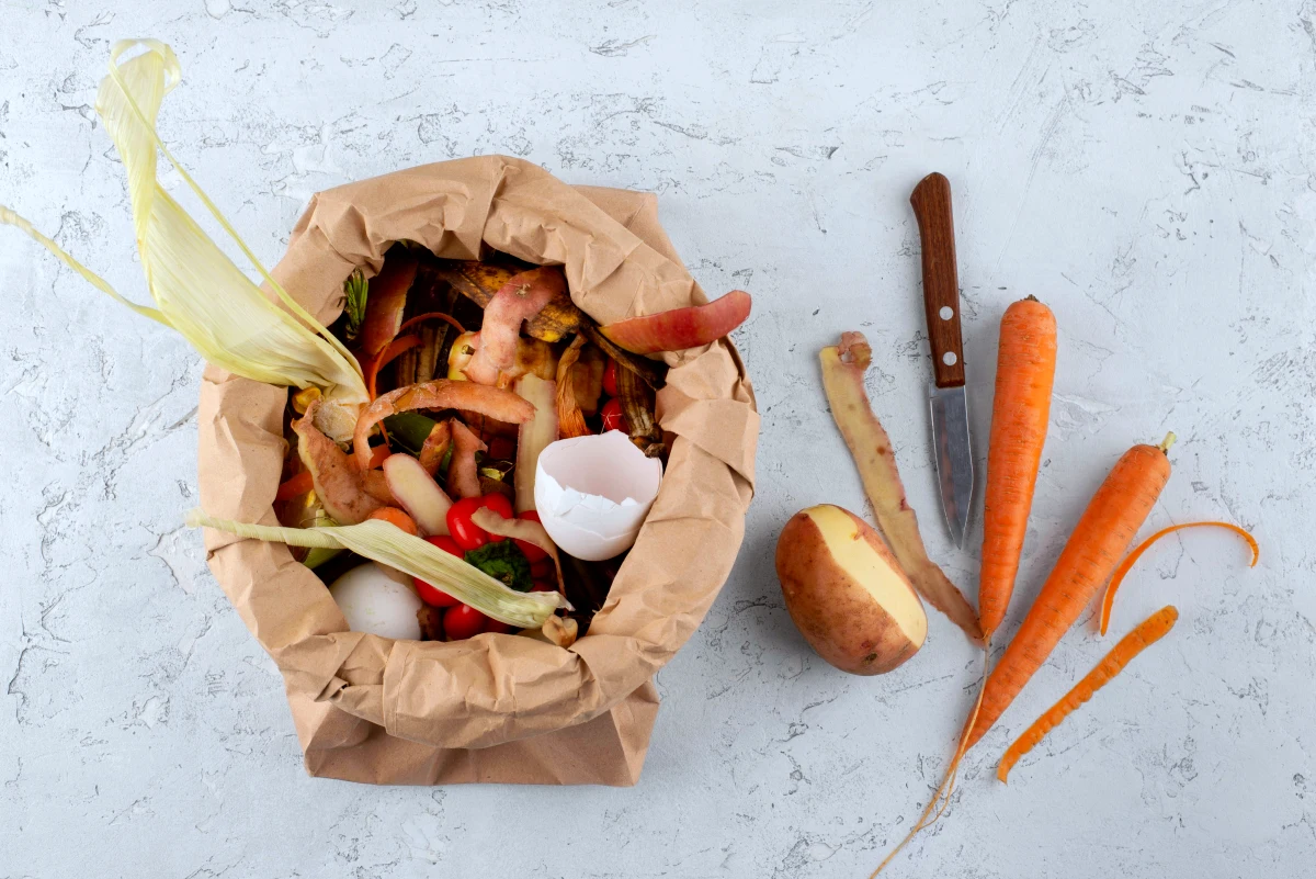 exemple de dechets alimentaires a mettre dans le compost carrotes