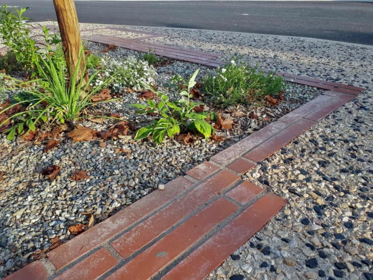 gravier au pied des arbres briques rouges tron plantes vertes