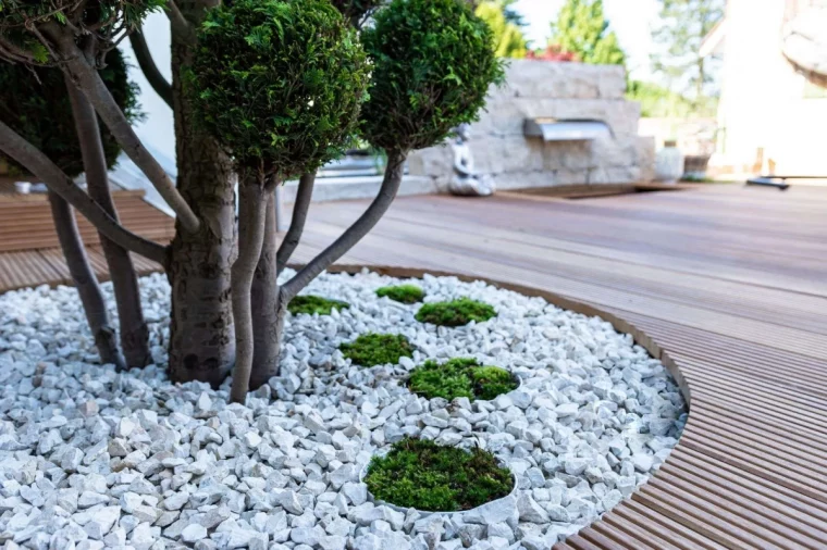 jardin rocaille cailloux blancs plante verte tronc arbre terrasse bois