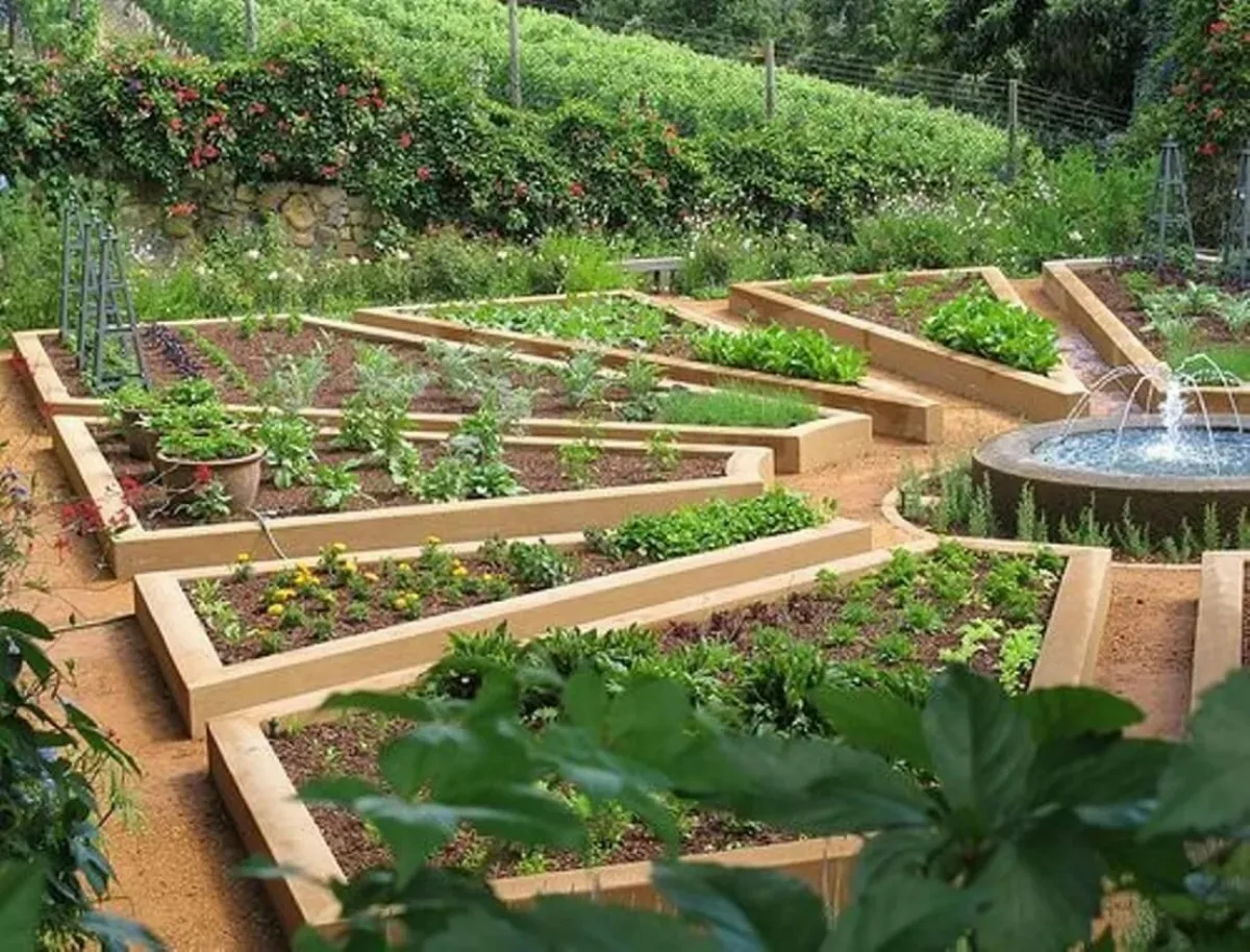 jardiner avec la lune en biodynamie 2024 jardins enlits sureleves