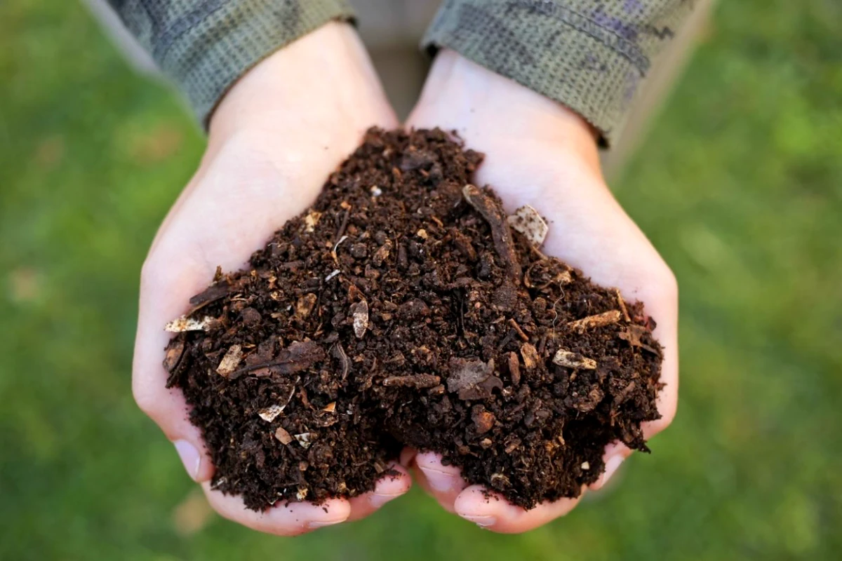 mettre de bicarbonate de soude dans le compost mains terre