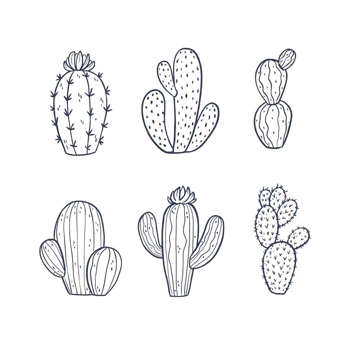 mini dessin de cactus epines formes motif dessin aesthetic vegetaux plantes