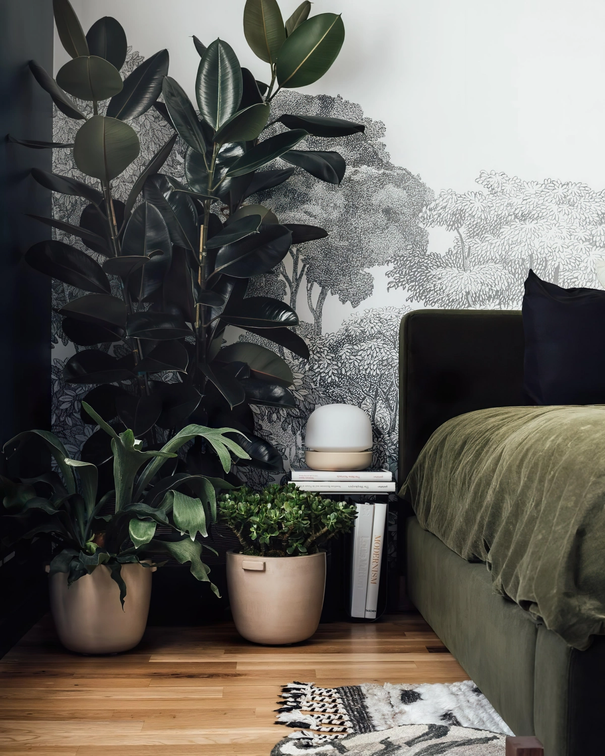 papier peint panoramique chambre adulte plantes vertes d interieur ficus