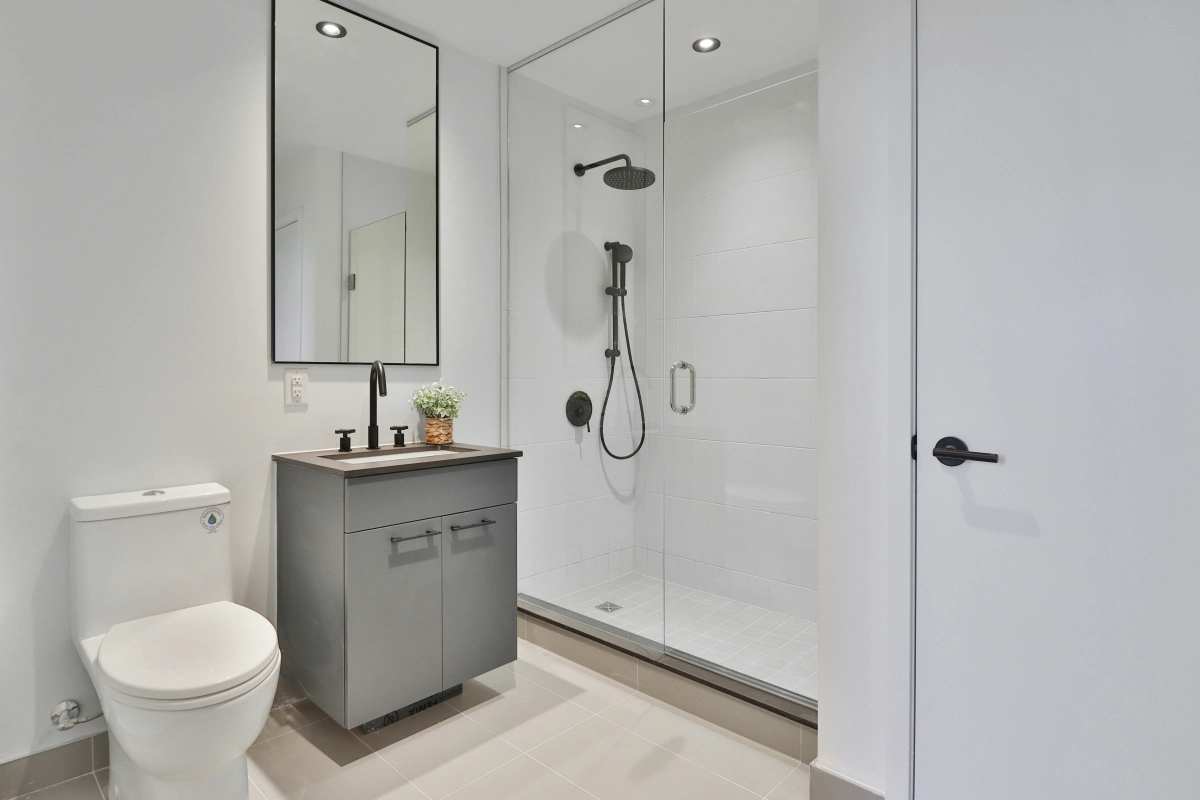 petite salle de bain agencement miroir cadre noir mat douche systeme