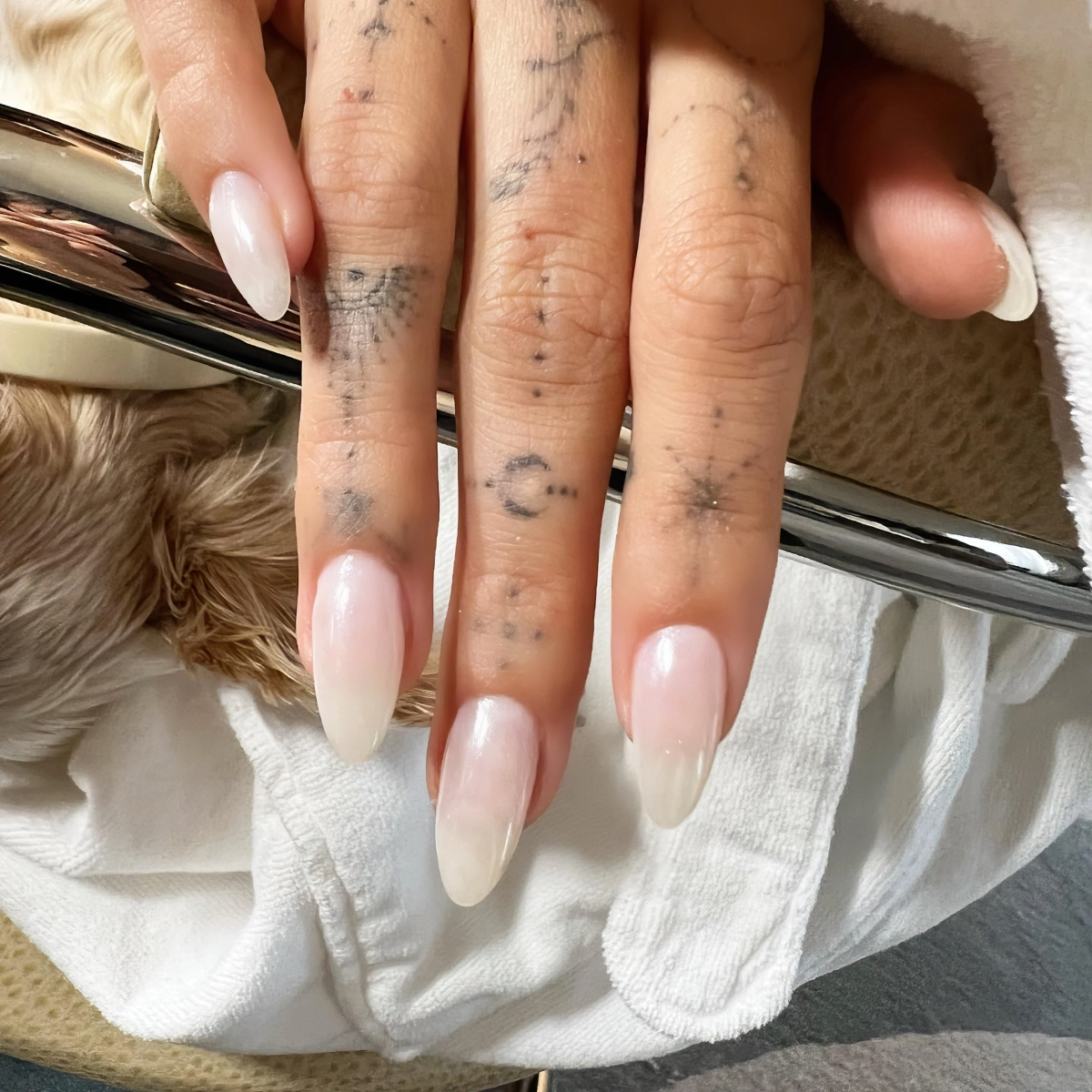 tatouage mains doigts femme motifs dots manucure hailey bieber