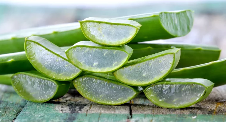 trucs pour digerer rapidement aloe vera vert