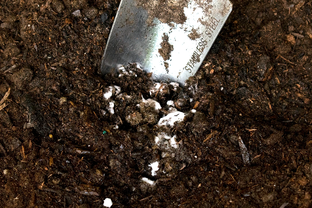 Est-ce normal d'avoir des vers blancs dans le compost ? Le guide pratique  pour bien réussir votre compostage en 2024