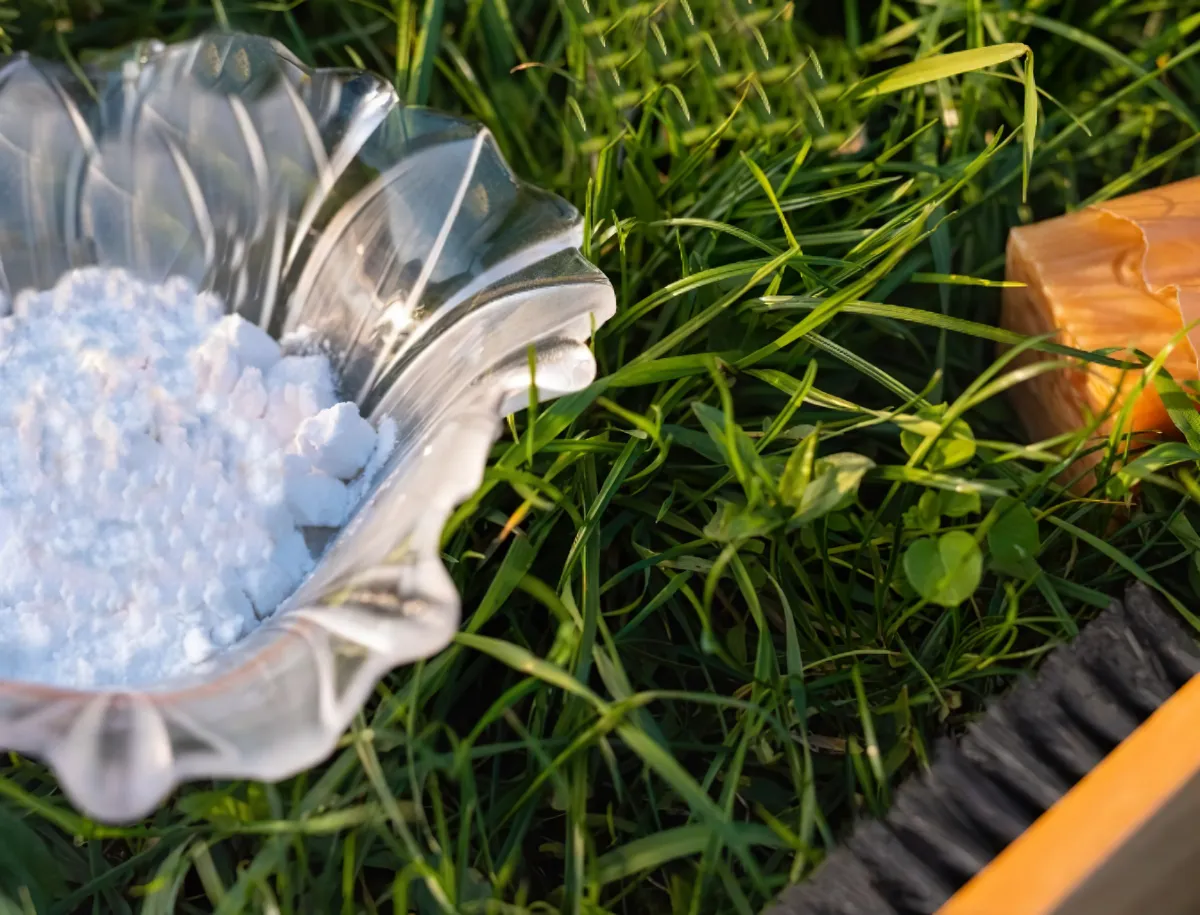 bicarbonate de soude contre le champignon de la pelouse