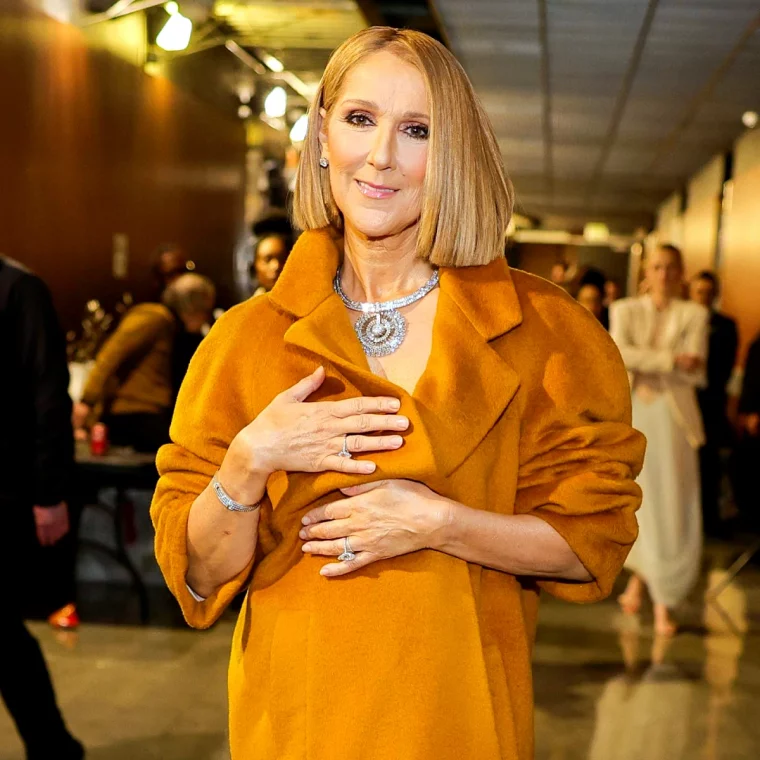 coupe de cheveux femme 60 ans celine dion