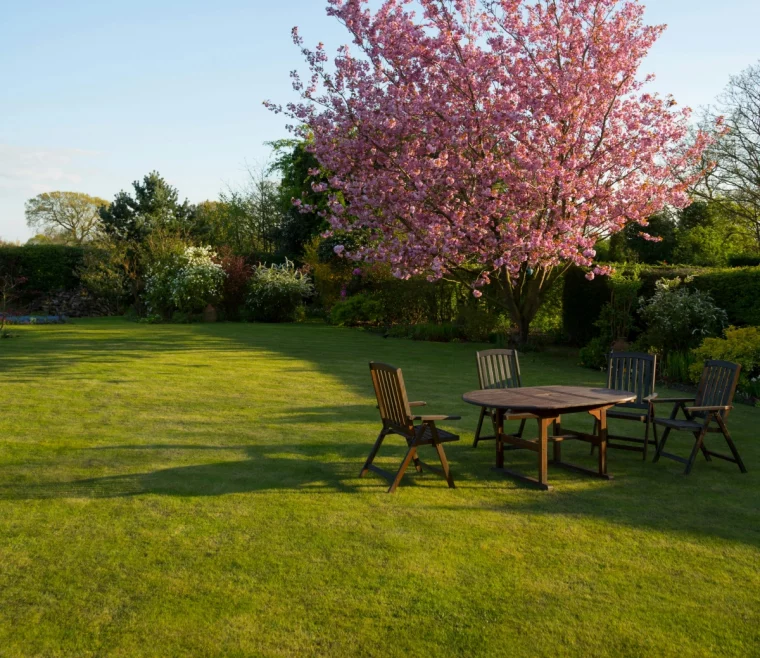 cour arriere gazon tondu meubles de jardin en bois table chaises arbre