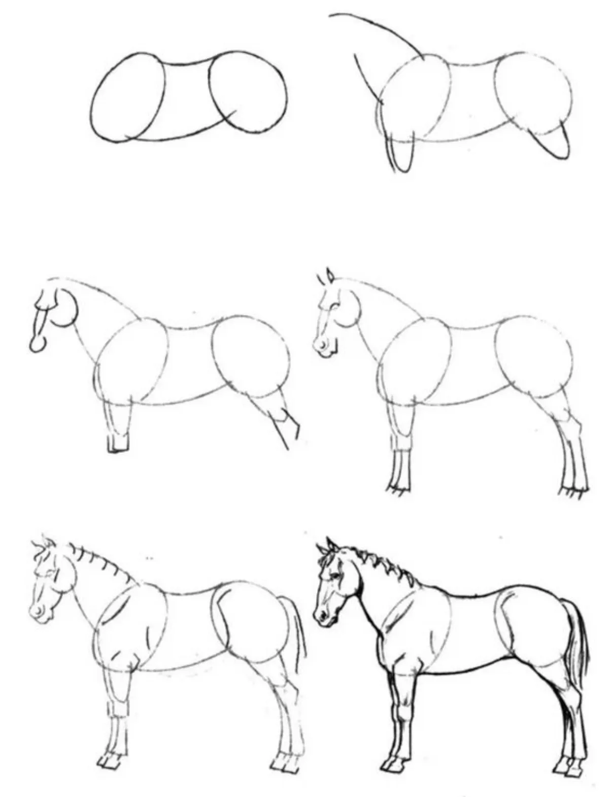 dessin de cheval realiste