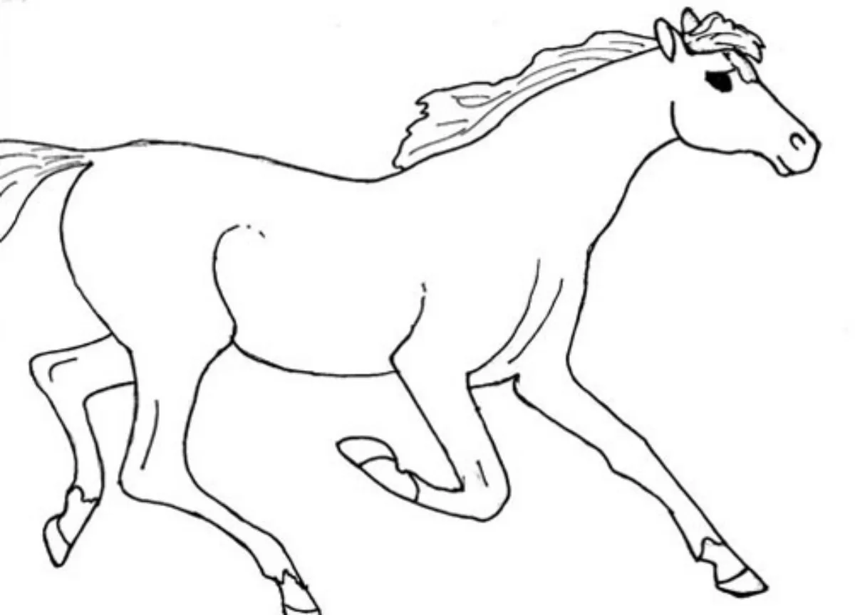 dessin decheval augalop