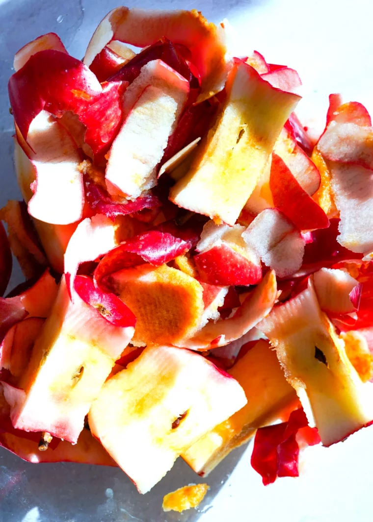 faire du vinaigre a partir des epulchures de pommes rouges