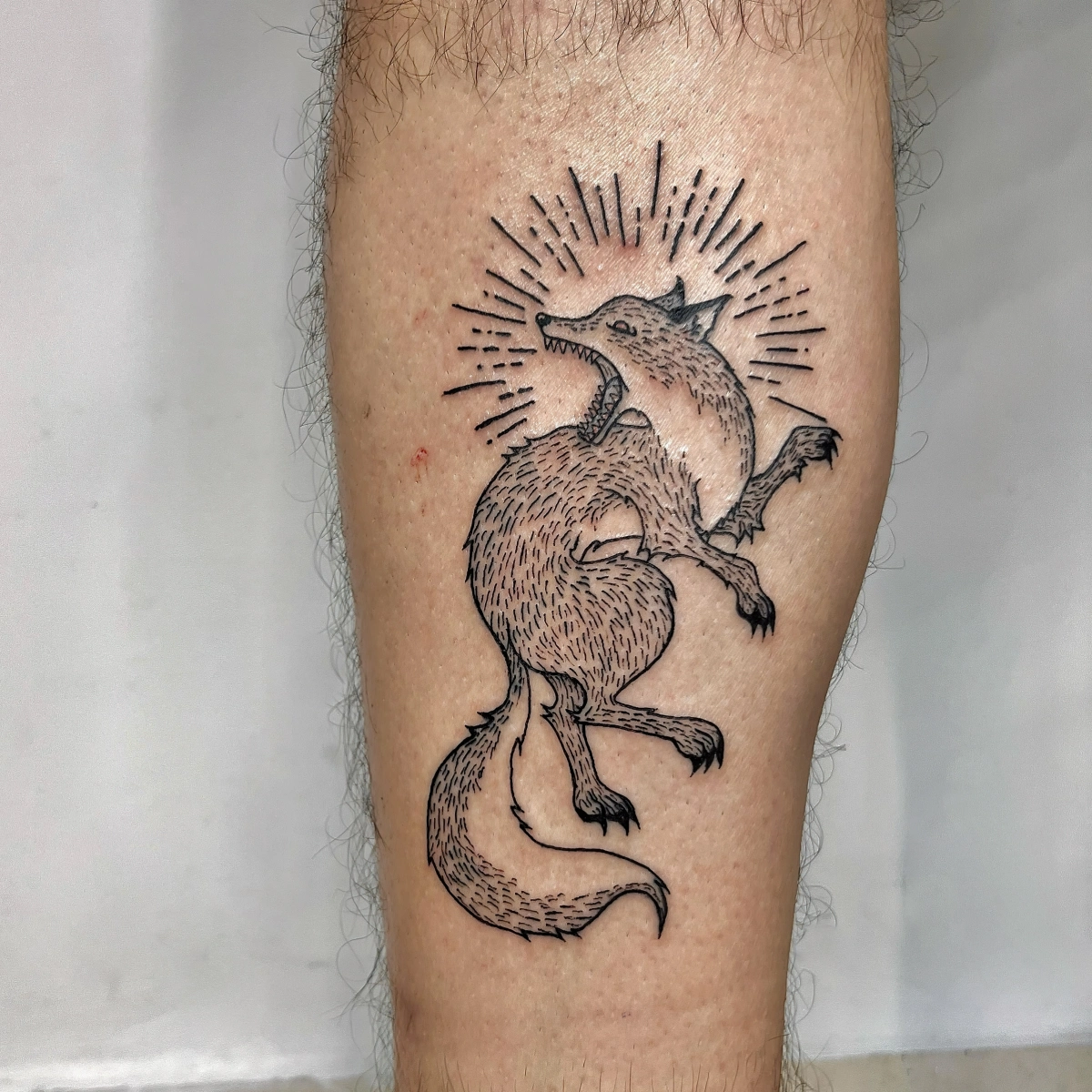 idee tatouage tendance homme mollet renard symbole pattes