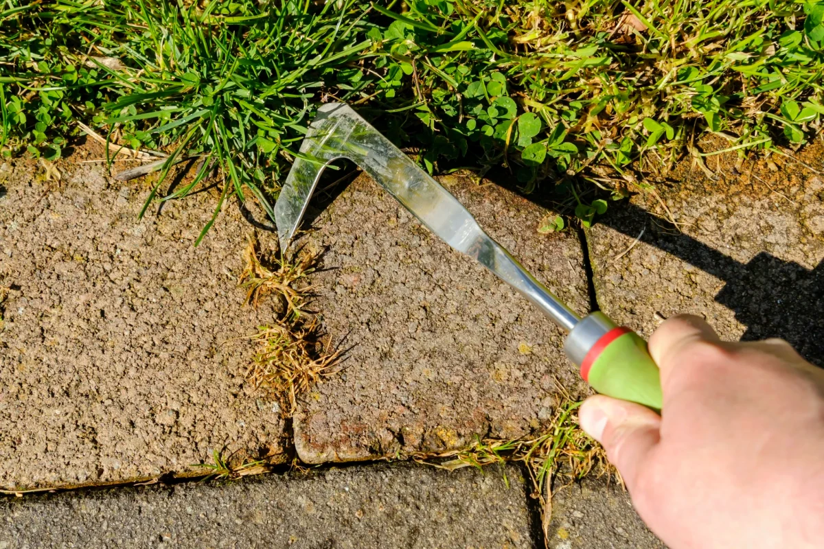 outil pour eliminer les mauvaises herbes entre les dalles