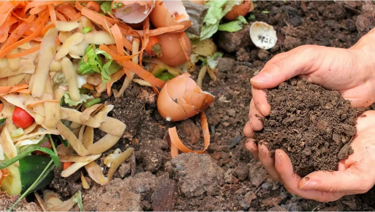 peut on mettre de la terre dans le compost