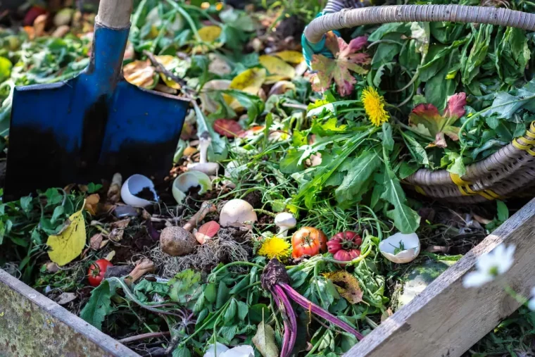 qu est ce qu on peut ajouter au compost