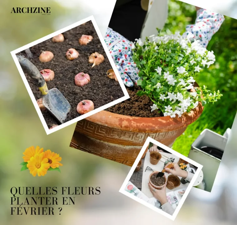 quand planter les bulbes fleurs jardin pleine terre pots jardinage travaux