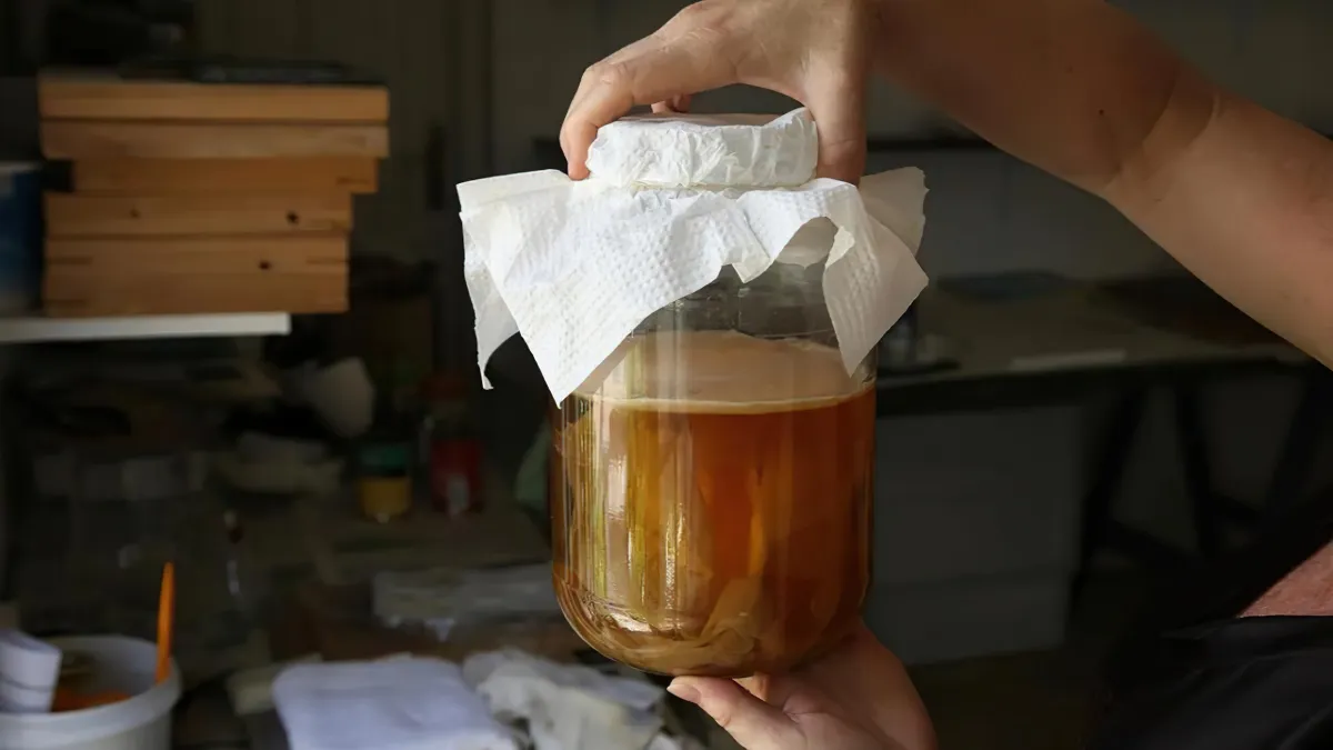 quelle jarre pour la fermentation du kombucha