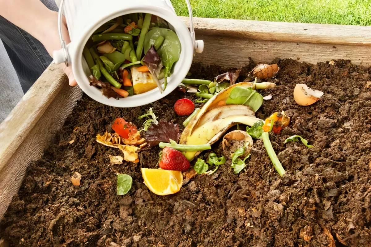 quels aliments ajouter et ne pas ajouter au compost