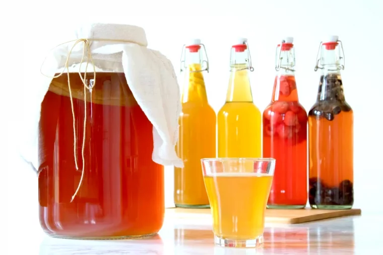 recette de kombucha maison pour une boisson bio