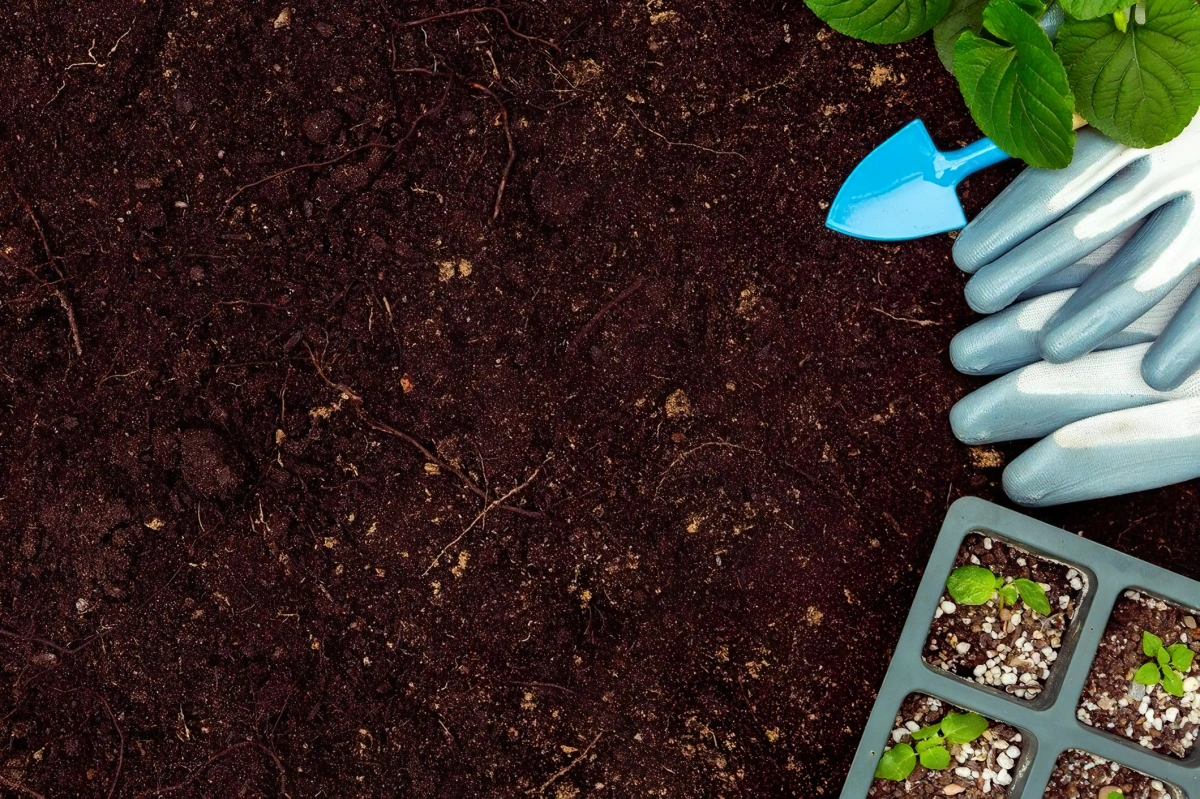 sol terreau compotision perlites cailloux gants jardinage outils pot semis