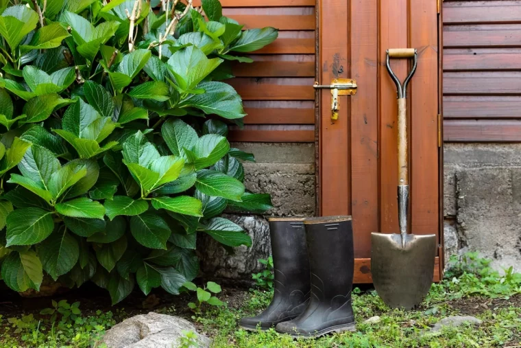 arbustes feuillage vert porte outils de jardinage bottes gazon