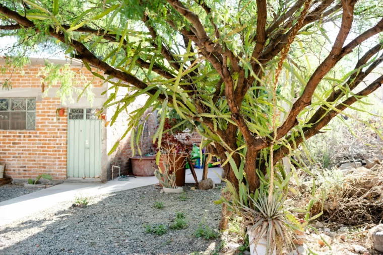 exterieur sol gravier porte facade maison briques rouges plantes