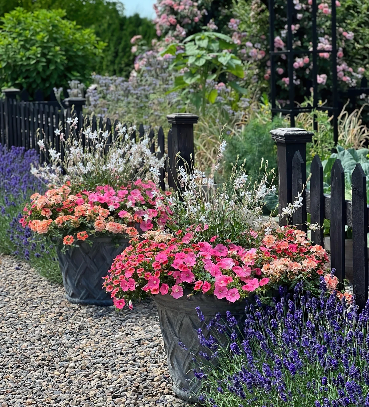 fleurs en pot bordures cloture gravier jardin arc decoratif