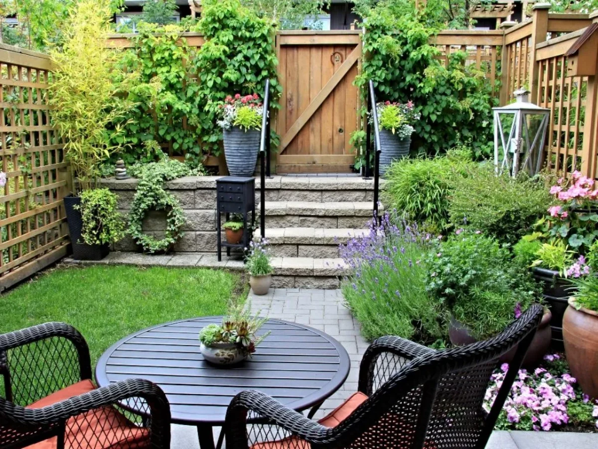 idee de terrasse arbuste chaises plantes vertes