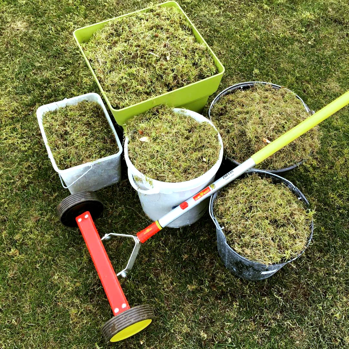 peut on mettre la mousse au compost herbes vertes rateau