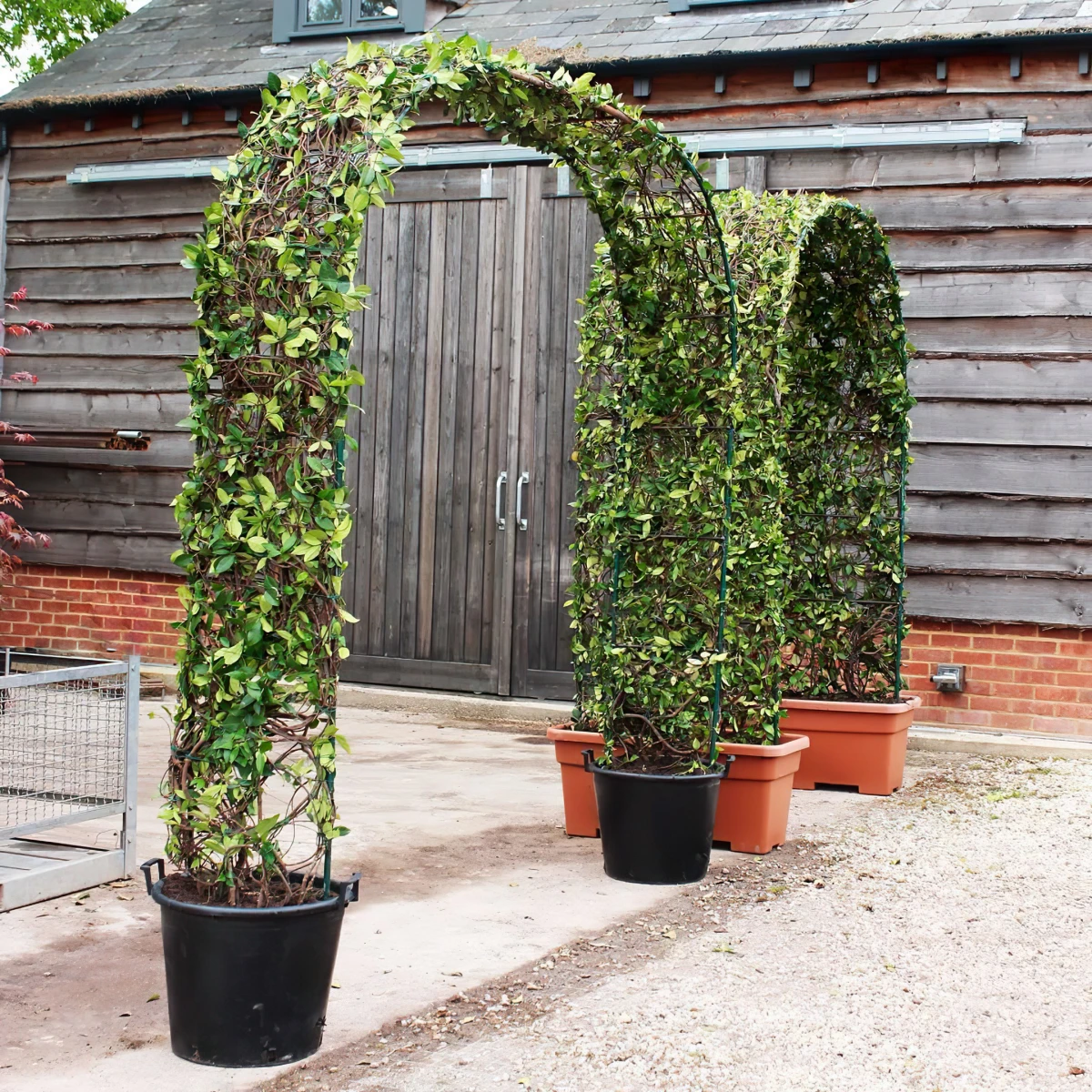 arc support decoratif pour plante grimpantes en pot grand