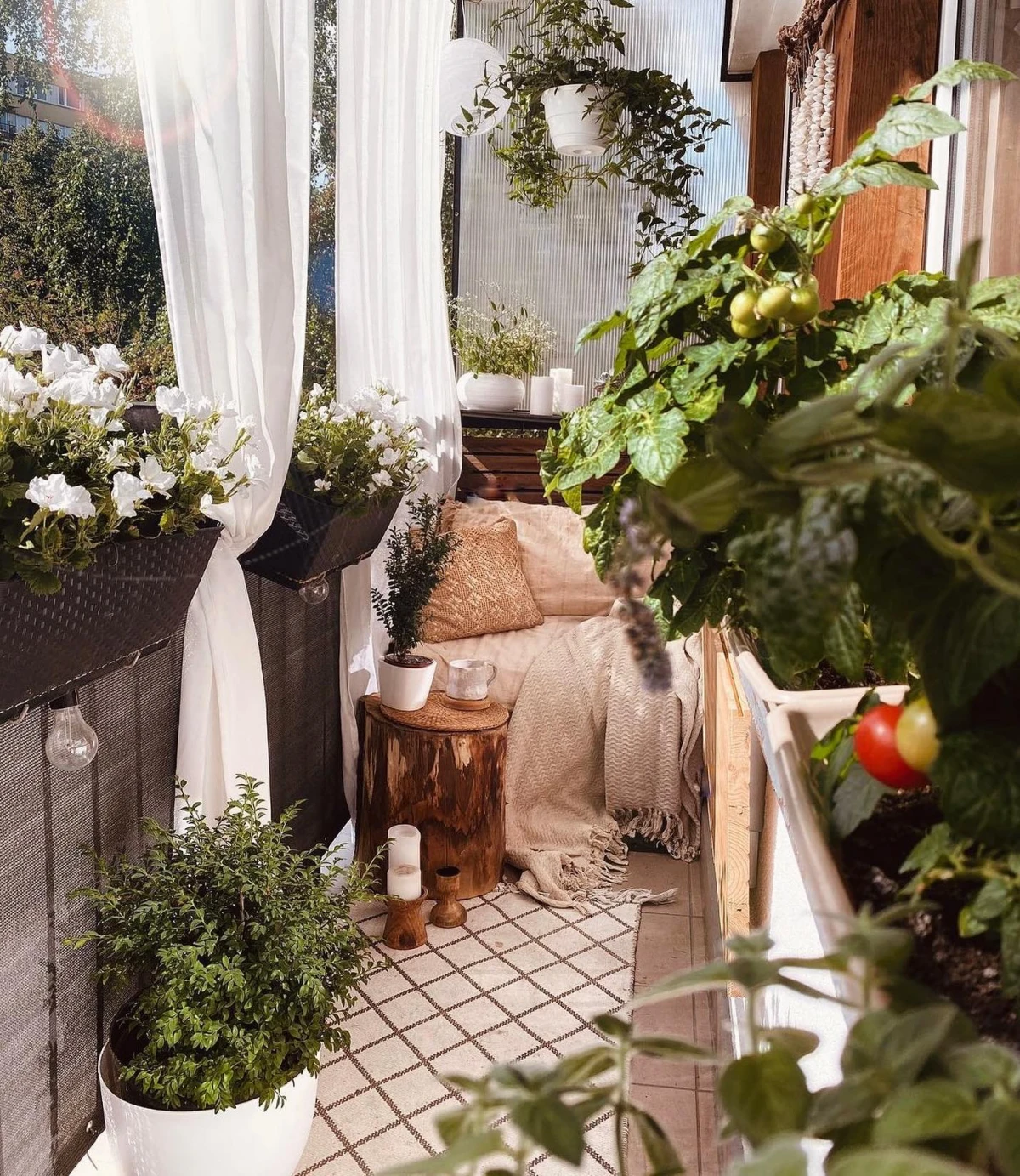 comment choisir les plantes vertes pour un petit balcon