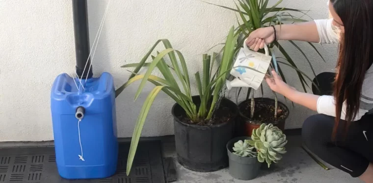 comment recuperer eau de pluie balcon astuces