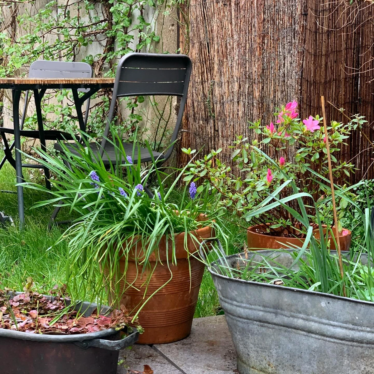 idee de jardiniere sur une terrasse plantes vertes fleurs pelouse