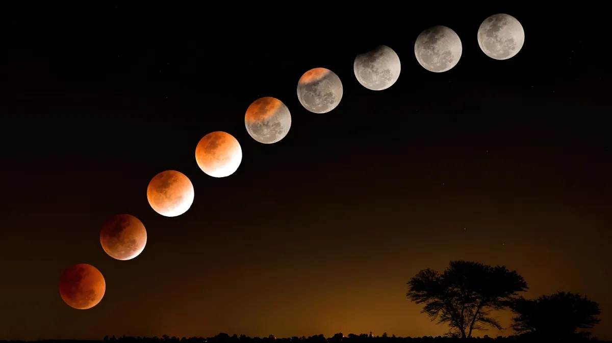 payasage nocturne arbre et les phases de la lune
