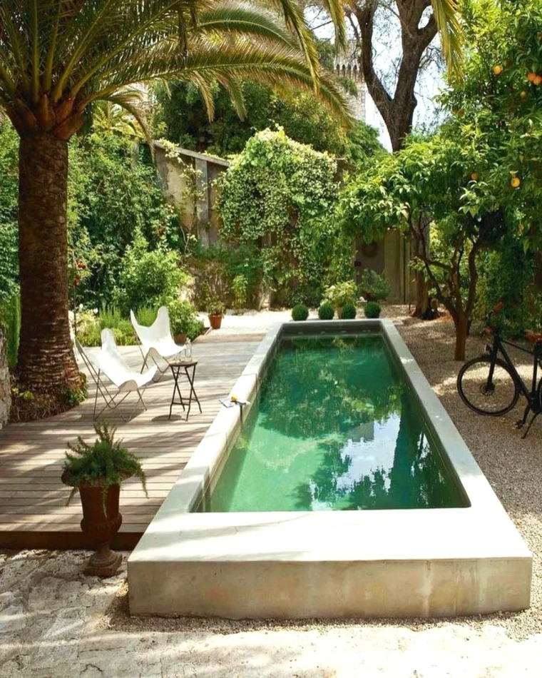 quel arbres planter autour d une piscine palmier