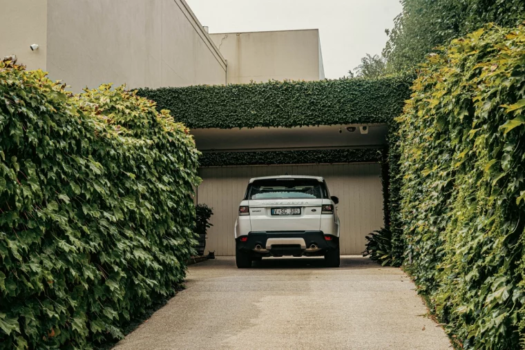 voiture brise vue plantes arbustes vegetaux grimpants structure