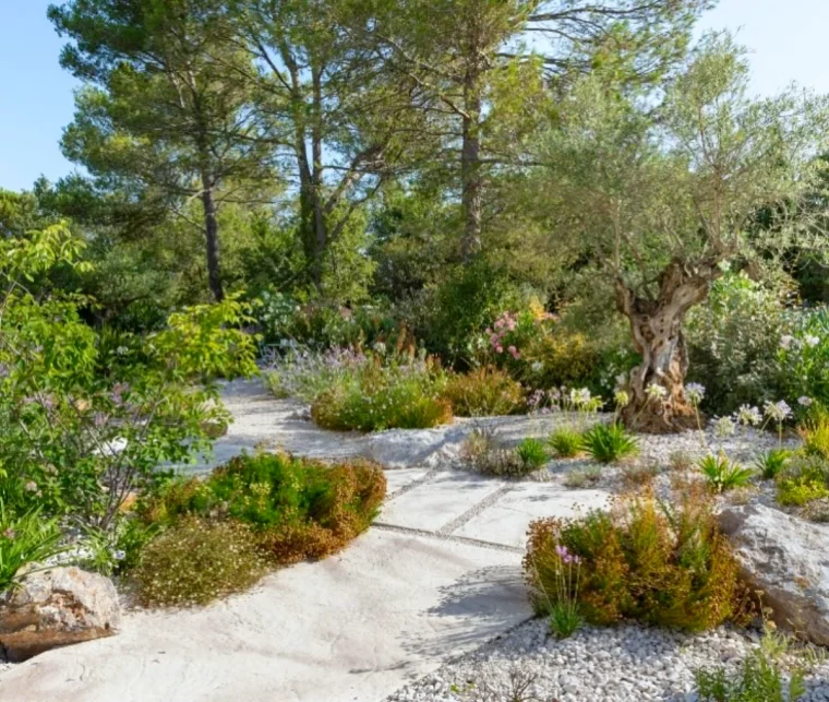 amenagement devant maison sans pelouse plantes vertes cailloux dalles en beton arbres