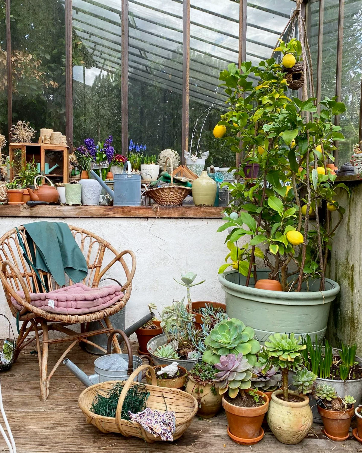amenagment petit espace sans pelouse chaises plantes en pot