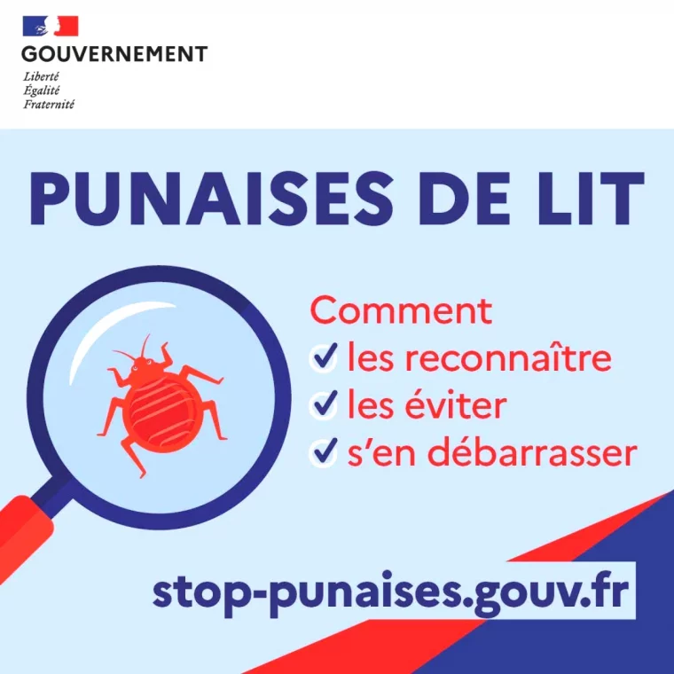 conseils utiles contre les punaises de lit