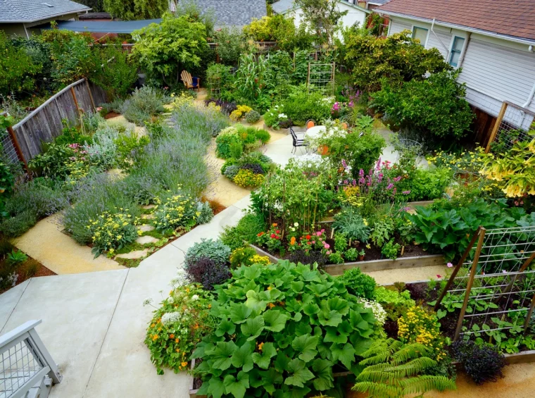 exemples de massif de leurs avec dalles en beton pour un jardin sans pelouse