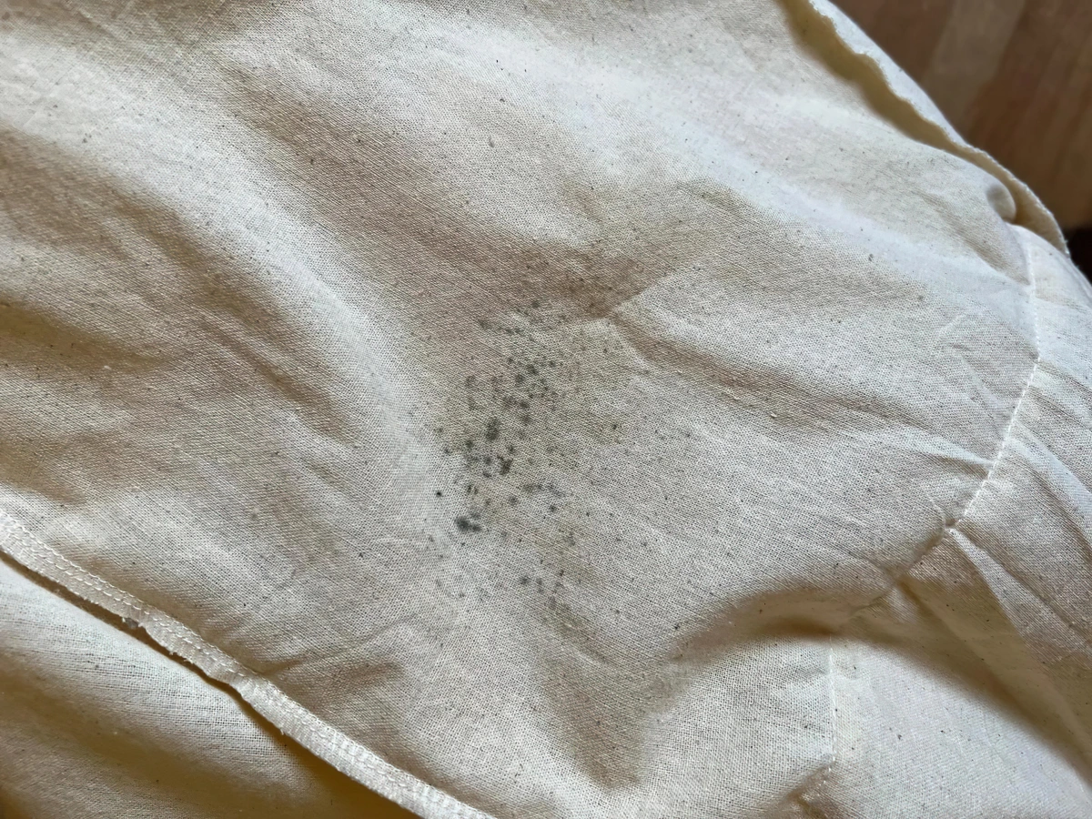 taches noires de moisissures sur tissu beige humidite salete