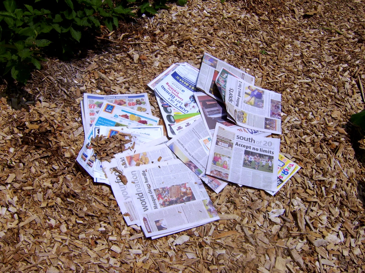 la technqiue avec du journal contre les mauvaises herbes