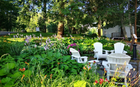 meubles de jardin bois peinture blanche exterieur arbustes fleurs