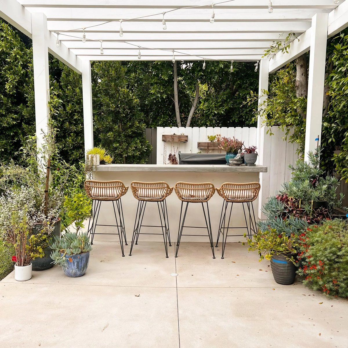 deco bar de jardin blanc pergola guirlande lumineuse plantes